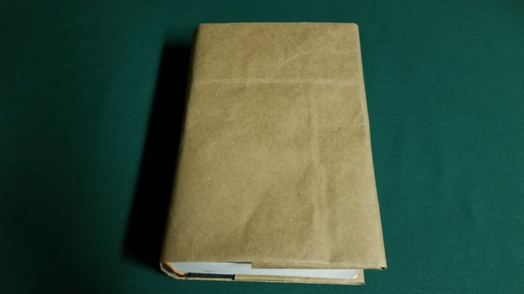 Growing Up in Working Class Youngstown — Grocery Bag Book Covers Bob on Books